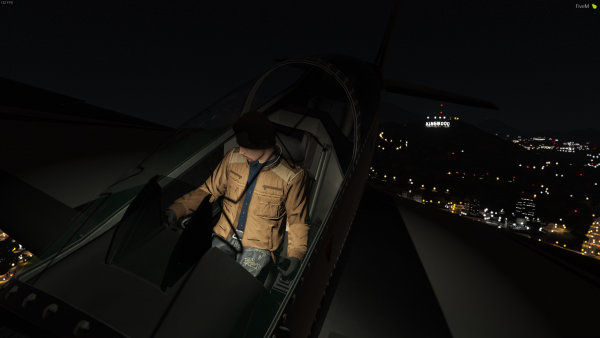 Plane Vinewood