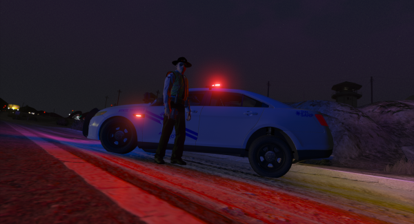 Checkpoint action