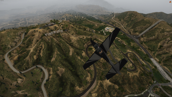 Fly over Vinewood