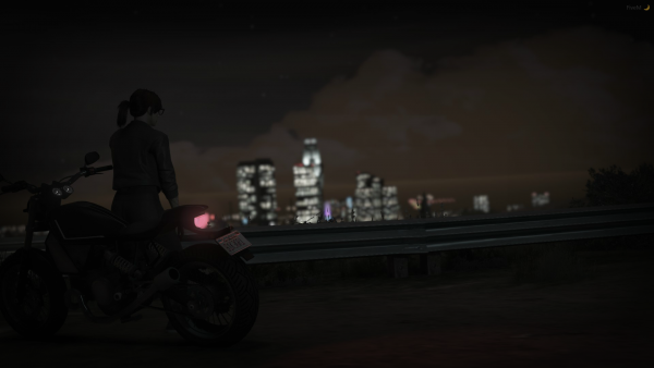 Night Ride In LS