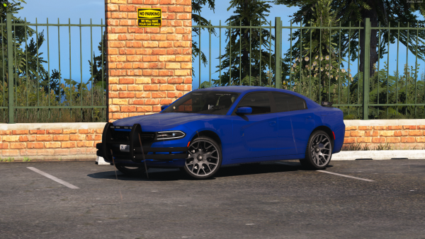 Blue Charger