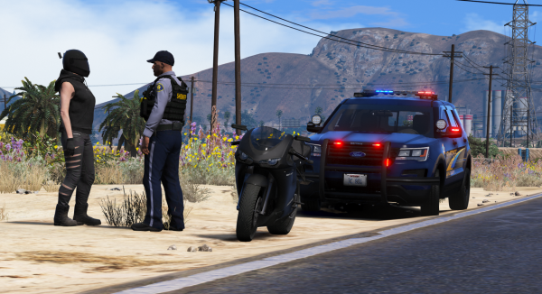 Traffic Stop