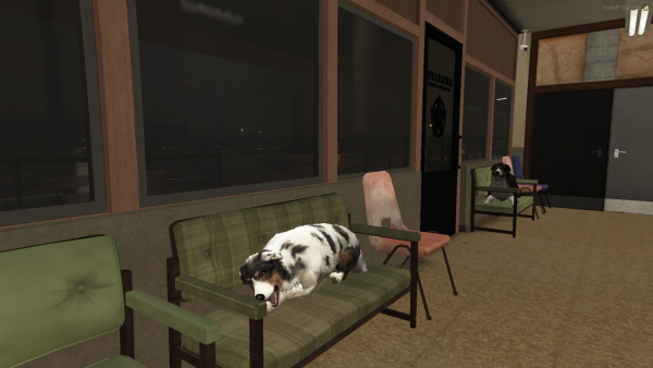 Dogs in the station