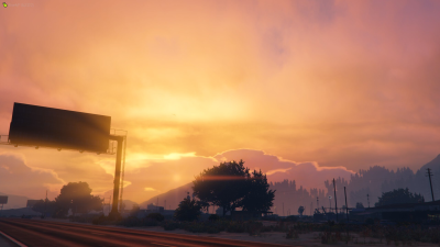 Sandy Shores