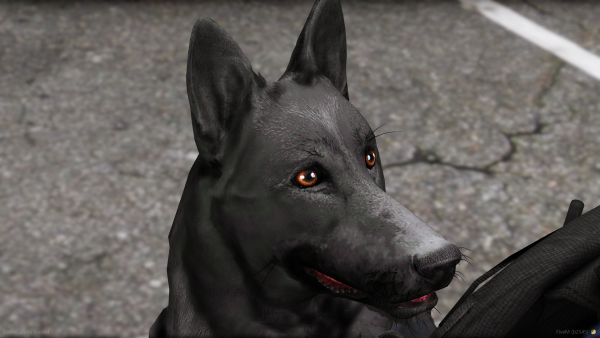 K98.png