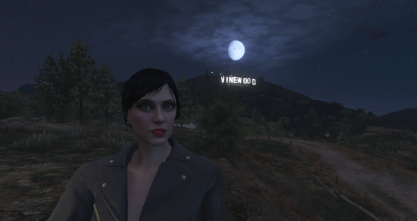 Vinewood Selfie.png