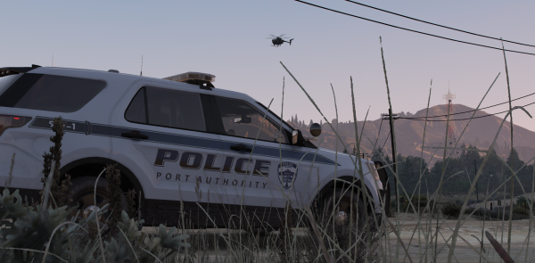 DOJRP-LSPD-PA-3.png