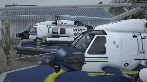 SAHP and LSPD Air!